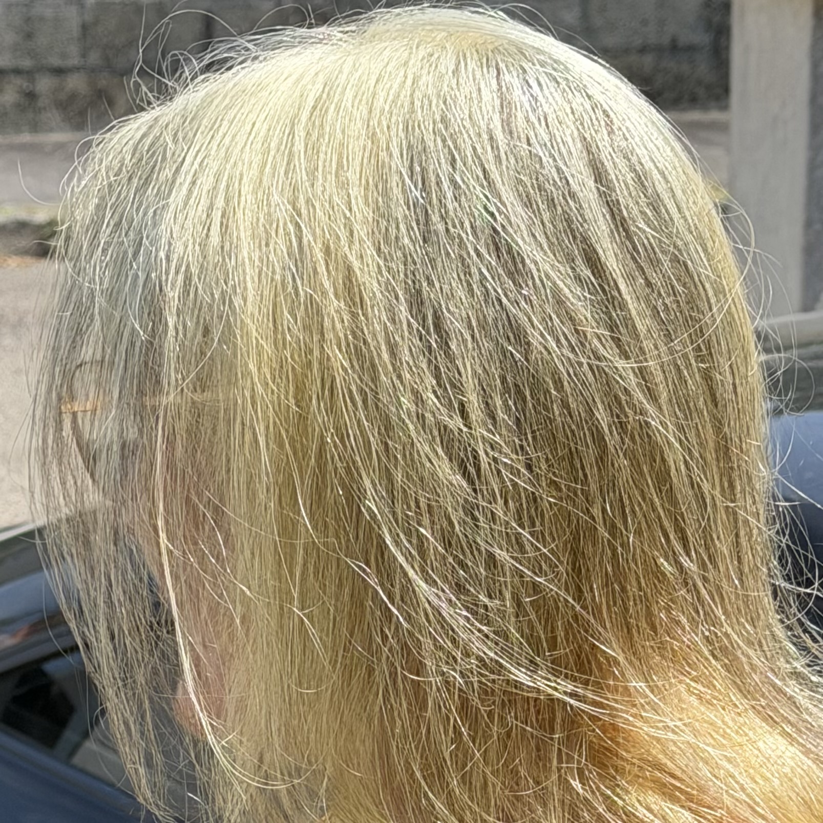 FORFAITS COLORATION VÉGÉTAL BIO-shampoing pose couleur rinÇage fixateur coiffage